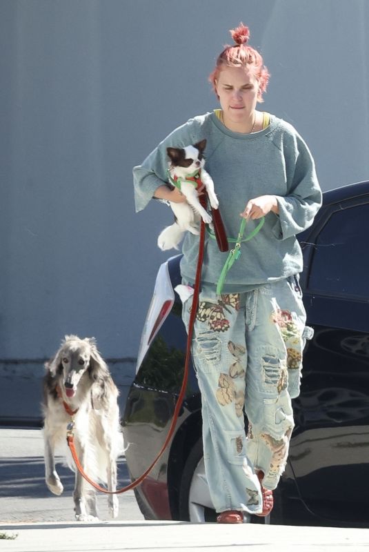 TALLULAH and RUMER WILLIS Out with Their Dogs in Los Angeles 10/06/2023