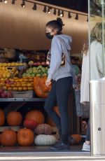 ZENDAYA and Tom Holland Shopping at Erewhon Market in Los Angeles 10/24/2023