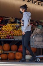 ZENDAYA and Tom Holland Shopping at Erewhon Market in Los Angeles 10/24/2023