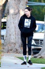ADRIANA LIMA and Andre Lemmers Out with Their Dog in Los Angeles 11/16/2023