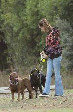 ALESSANDRA AMBROSIO Out with Her Dogs in Brentwood 11/08/2023