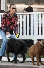 ALESSANDRA AMBROSIO Out with Her Dogs in Brentwood 11/08/2023