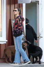 ALESSANDRA AMBROSIO Out with Her Dogs in Brentwood 11/08/2023