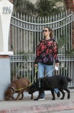 ALESSANDRA AMBROSIO Out with Her Dogs in Brentwood 11/08/2023