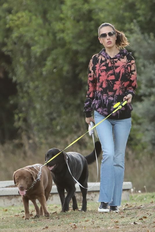 ALESSANDRA AMBROSIO Out with Her Dogs in Brentwood 11/08/2023