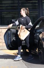 ALISON BRIE Out Shopping at Gelson