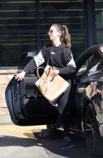 ALISON BRIE Out Shopping at Gelson