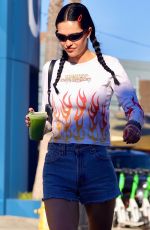 AMELIA HAMLIN Out and About in West Hollywood 11/02/2023