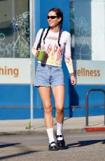 AMELIA HAMLIN Out and About in West Hollywood 11/02/2023