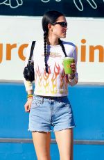 AMELIA HAMLIN Out and About in West Hollywood 11/02/2023
