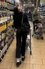 AMELIA HAMLIN Shopping at Bristol Farms in Beverly Hills 11/22/2023