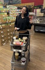 AMELIA HAMLIN Shopping at Bristol Farms in Beverly Hills 11/22/2023