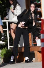 AMELIA HMALIN Out with Friends in Los Angeles 11/22/2023