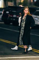 AMY ADAMS and Darren Le Gallo on a Dinner Date in Hollywood 11/19/2023