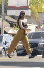 ANA DE ARMAS Out for Lunch with a Friend at All Time 11/06/2023