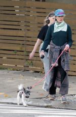 ANDIE MACDOWELL Out with Her Dog and a Friend in Los Angeles 11/16/2023