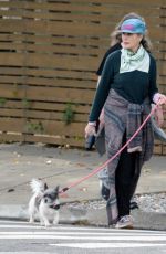 ANDIE MACDOWELL Out with Her Dog and a Friend in Los Angeles 11/16/2023