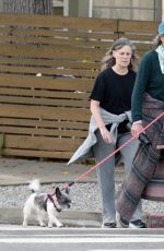 ANDIE MACDOWELL Out with Her Dog and a Friend in Los Angeles 11/16/2023