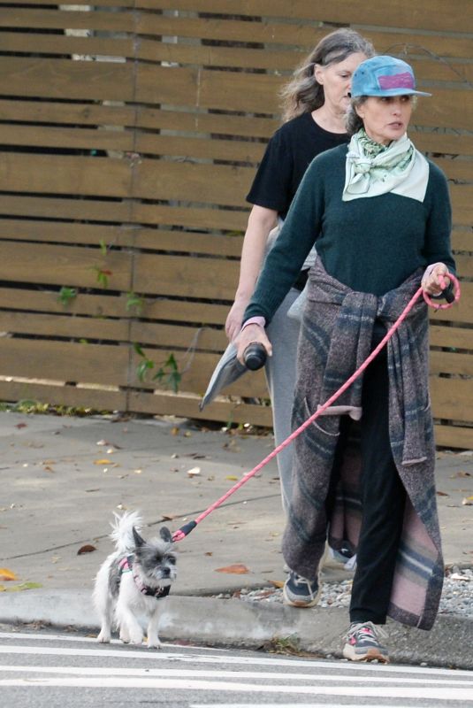 ANDIE MACDOWELL Out with Her Dog and a Friend in Los Angeles 11/16/2023
