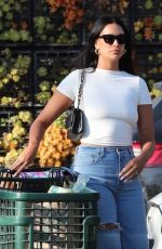APRIL LOVE GEARY Out Shopping in Malibu 11/08/2023