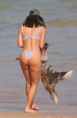 BRITTANY HOCKLEY in Bikini at a Beach in Sydney 11/27/2023