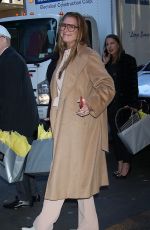BROOKE SHIELDS Arrives at 17th Annual Hope Luncheon Seminar Honoring Dakota Johnson in New York 11/14/2023