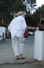 DAKOTA FANNING Out with Friends and Family on the Beach in Malibu 11/12/2023