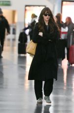 DAKOTA JOHNSON Arrives at JFK Airport in New York 11/09/2023