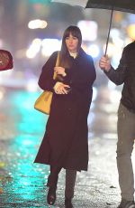 DAKOTA JOHNSON Night Out in New York 11/21/2023