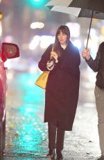 DAKOTA JOHNSON Night Out in New York 11/21/2023