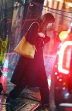 DAKOTA JOHNSON Night Out in New York 11/21/2023