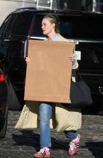 ELLE FANNING Out Shopping in New York 11/16/2023