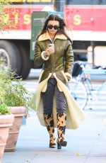 EMILY RATAJKOWSKI in a Green Winter Coat and Cow Printed Boots Out in Ney York 11/20/2023