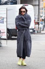 EMILY RATAJKOWSKI Out and About in New York 11/01/2023
