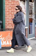 EMILY RATAJKOWSKI Out and About in New York 11/01/2023