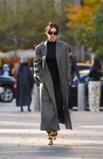 EMILY RATAJKOWSKI Out and About in New York 11/06/2023