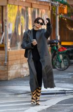 EMILY RATAJKOWSKI Out and About in New York 11/06/2023