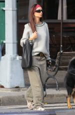 EMILY RATAJKOWSKI Out and About in New York 11/22/2023