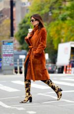 EMILY RATAJKOWSKI Out for Coffee in New York 11/09/2023