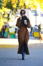 EMILY RATAJKOWSKI Out for Coffee with Her Dog in New York 11/15/2023