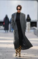 EMILY RATAJKOWSKI Out in New York 11/06/2023