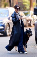 EMILY RATAJKOWSKI Out on Morning Dog Walk in New York 11/16/2023