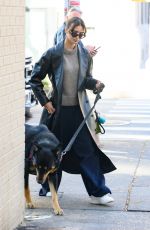 EMILY RATAJKOWSKI Out on Morning Dog Walk in New York 11/16/2023