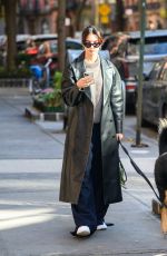 EMILY RATAJKOWSKI Out on Morning Dog Walk in New York 11/16/2023