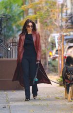 EMILY RATAJKOWSKI Out Walking Her Dog in New York 11/14/2023
