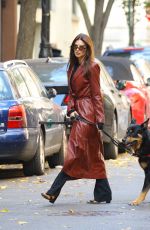 EMILY RATAJKOWSKI Out Walking Her Dog in New York 11/14/2023