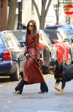 EMILY RATAJKOWSKI Out Walking Her Dog in New York 11/14/2023