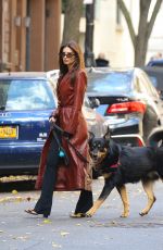 EMILY RATAJKOWSKI Out Walking Her Dog in New York 11/14/2023