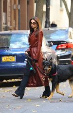 EMILY RATAJKOWSKI Out Walking Her Dog in New York 11/14/2023
