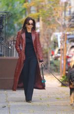 EMILY RATAJKOWSKI Out Walking Her Dog in New York 11/14/2023